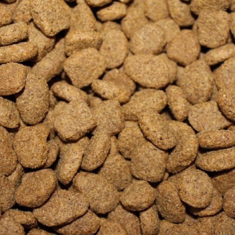 Adult Dog Food (Chicken)