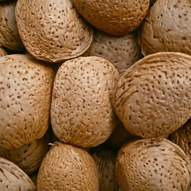 California Almonds