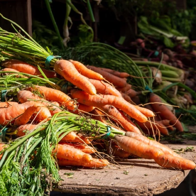Carrot (Ooty)