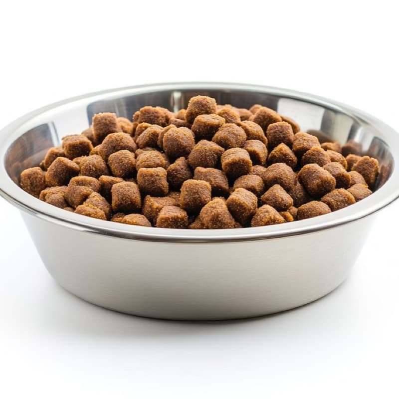 Cat Food (Ocean Fish)