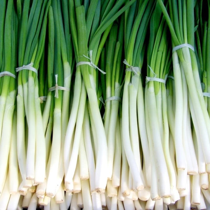 Fresh Onion