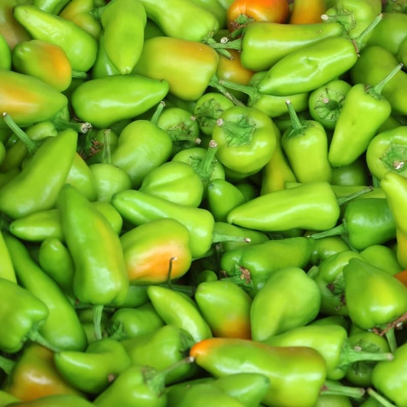 Green Chilli