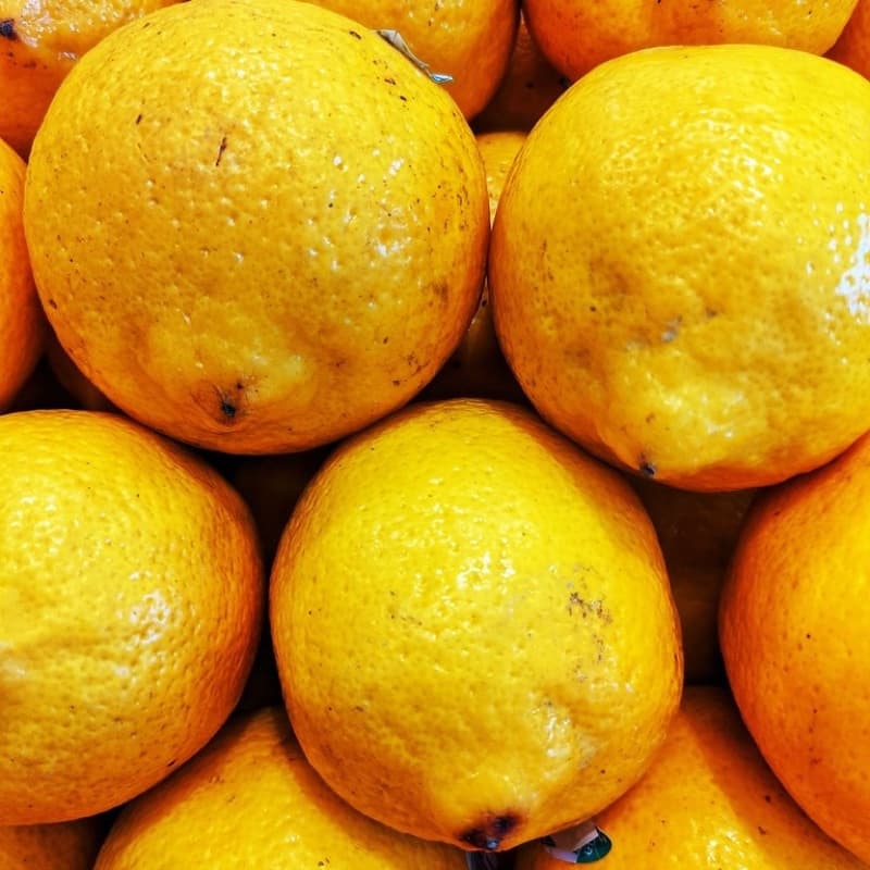 Lemon