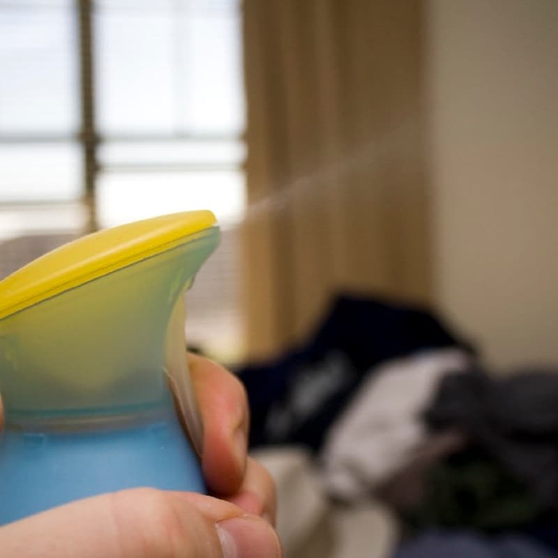 Room Freshener (Lavender)