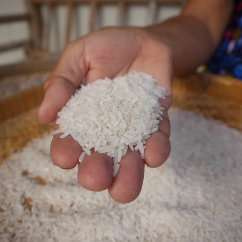 Sona Masoori Rice