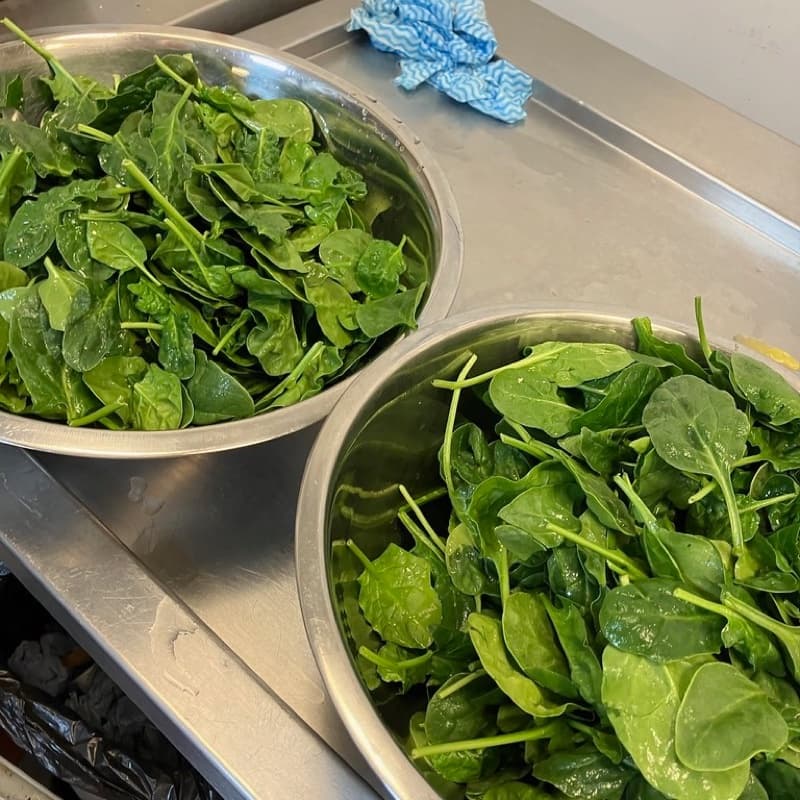 Spinach (Palak)