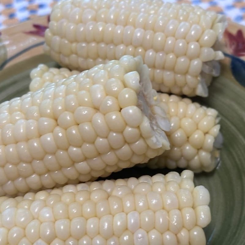 Sweet Corn (Shucked)